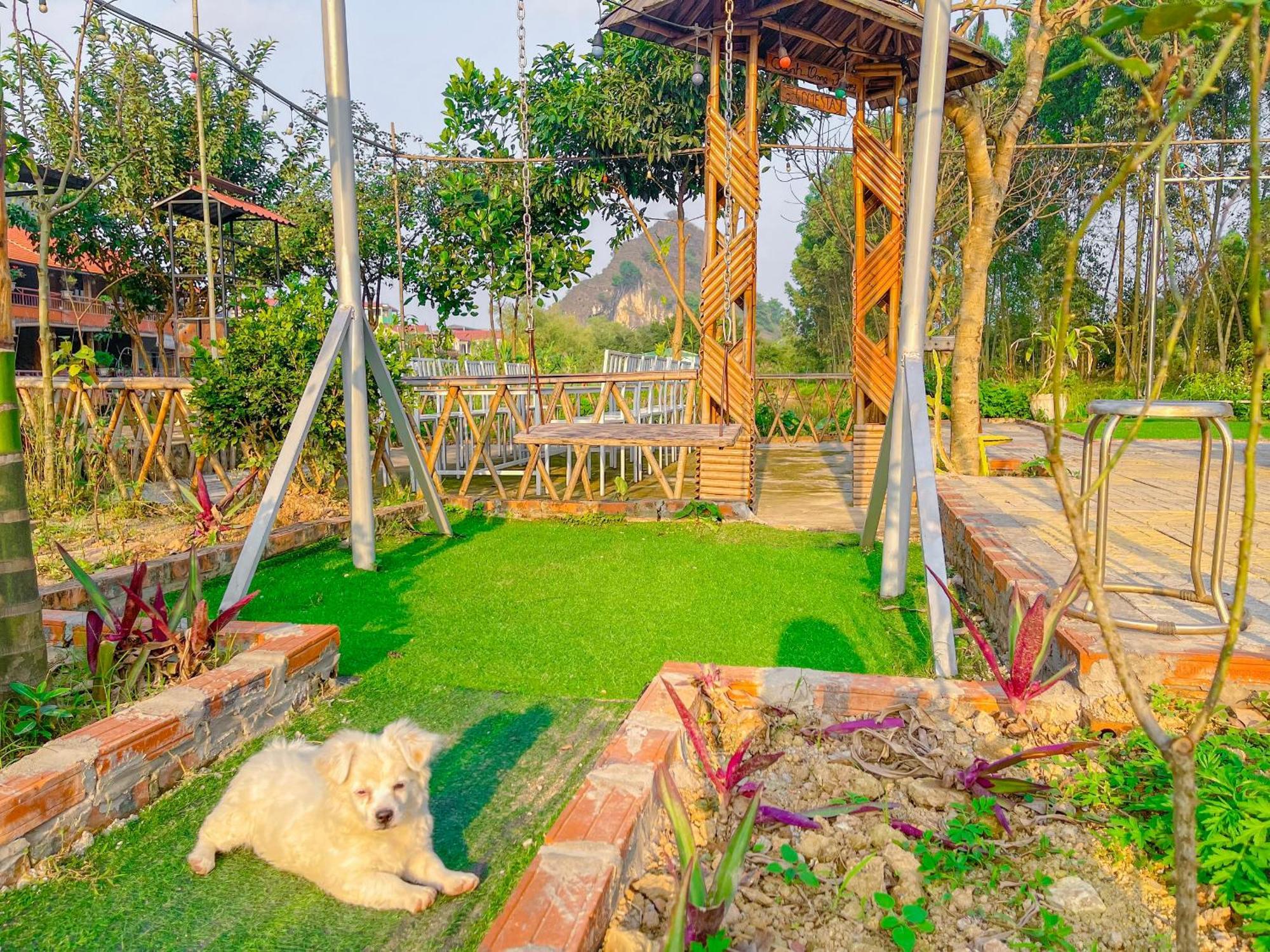 Trang An Quynh Trang Happy Homestay & Garden Νιν Μπιν Εξωτερικό φωτογραφία