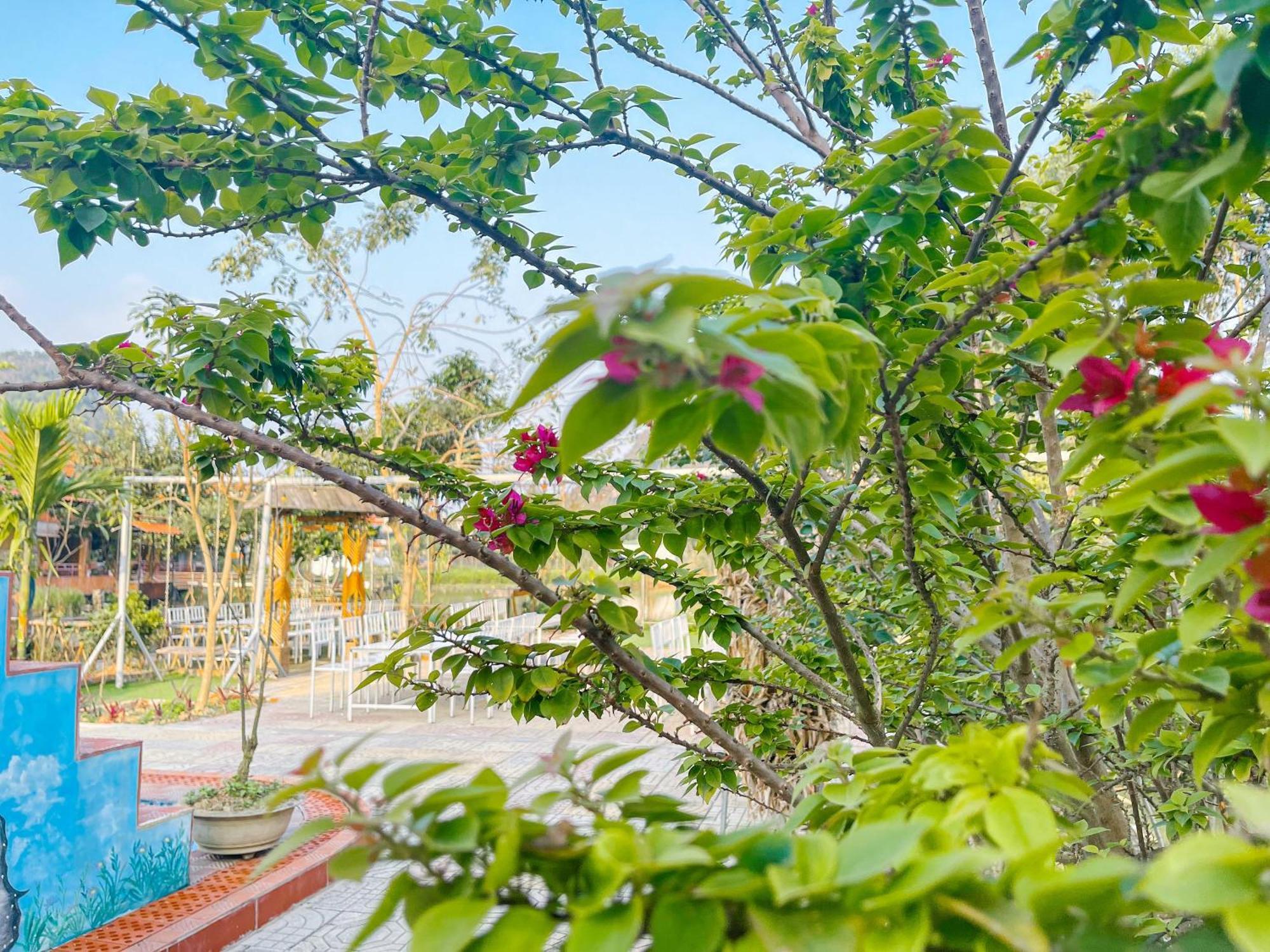 Trang An Quynh Trang Happy Homestay & Garden Νιν Μπιν Εξωτερικό φωτογραφία