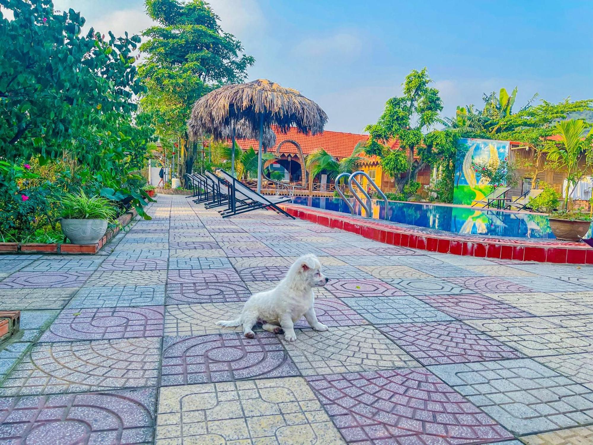 Trang An Quynh Trang Happy Homestay & Garden Νιν Μπιν Εξωτερικό φωτογραφία